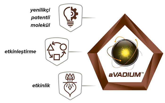 avadium
