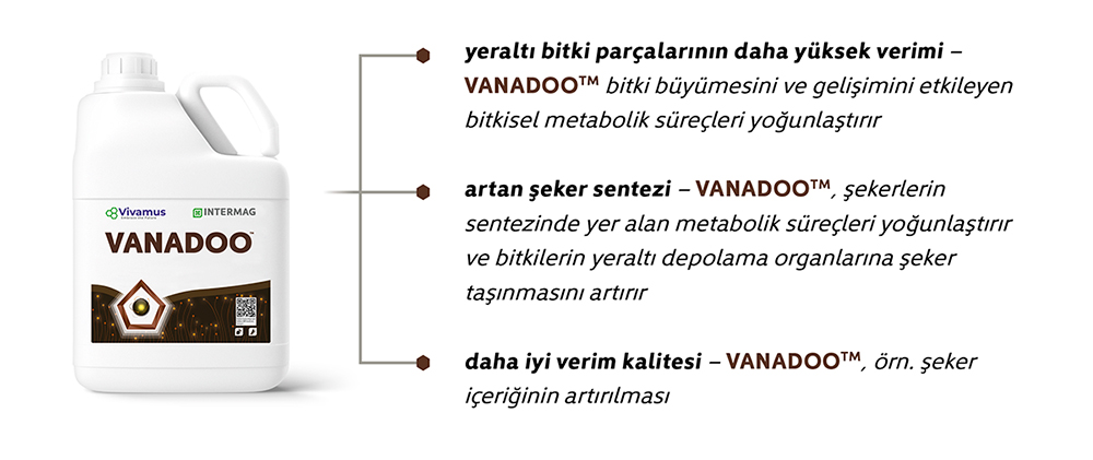vanadoo-korzysci-tr